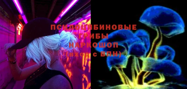 индика Алзамай