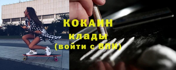 индика Алзамай