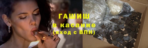 индика Алзамай