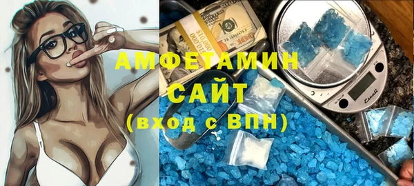 индика Алзамай
