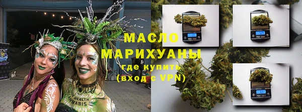 индика Алзамай