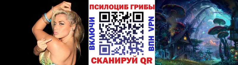 Псилоцибиновые грибы Psilocybine cubensis  Купить  Лысьва 